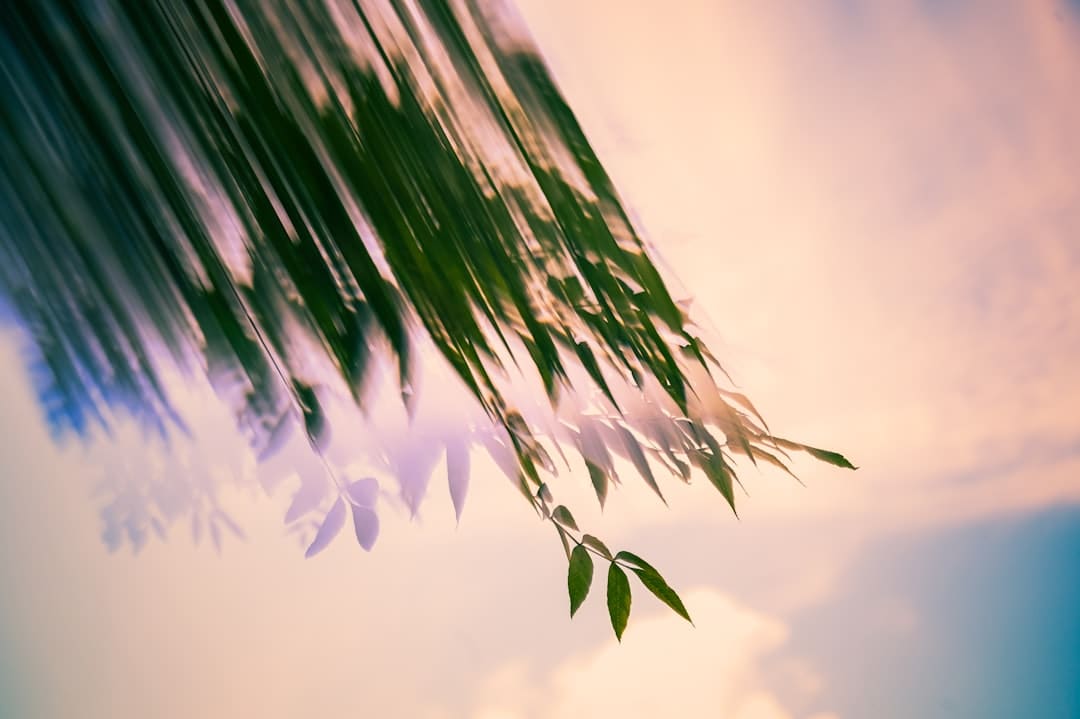 特朗普是否会拜访我国?外交部回应